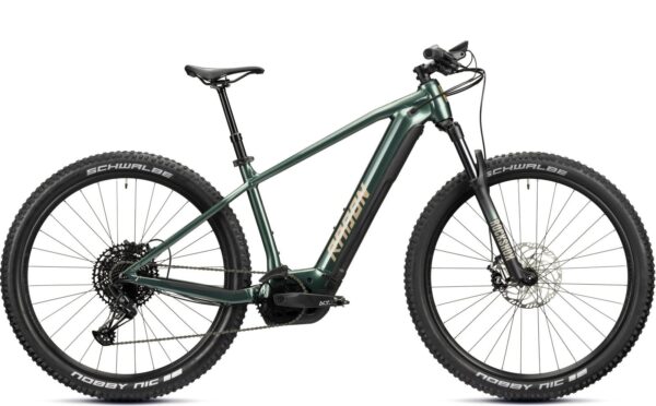 Radon Jealous Hybrid 9.0 750 - 22"