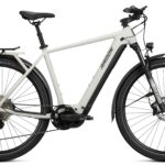 Radon RELATE 8.0 750