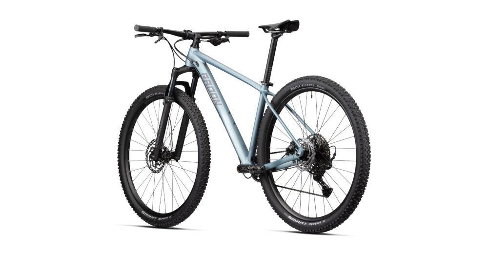 Radon JEALOUS AL 6.0 – Bild 2