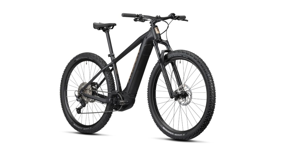 Radon Jealous Hybrid 8.0 625 – Bild 2
